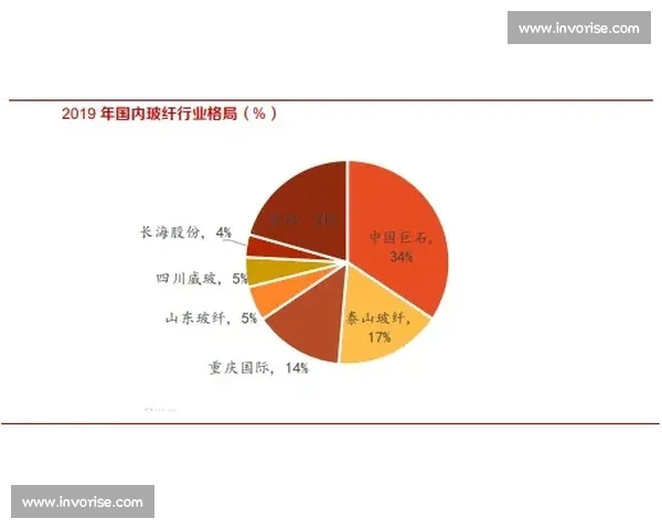 《探索公开赛制的优势与挑战：打造公平竞争平台的新思路与实践》